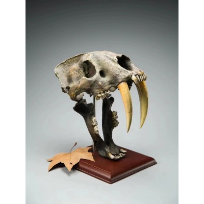 Seal head scares and monsters statue