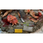 scares and monsters statue