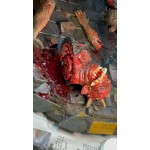 scares and monsters statue